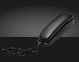 Washroom Telephone LRDR-184