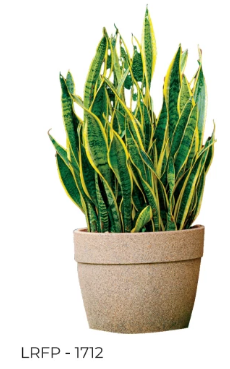 Flower Pot LRPF-1712