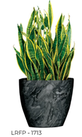 Flower Pot LRPF-1713