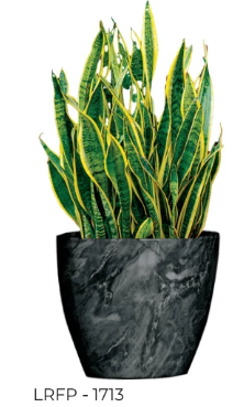 Flower Pot LRPF-1713